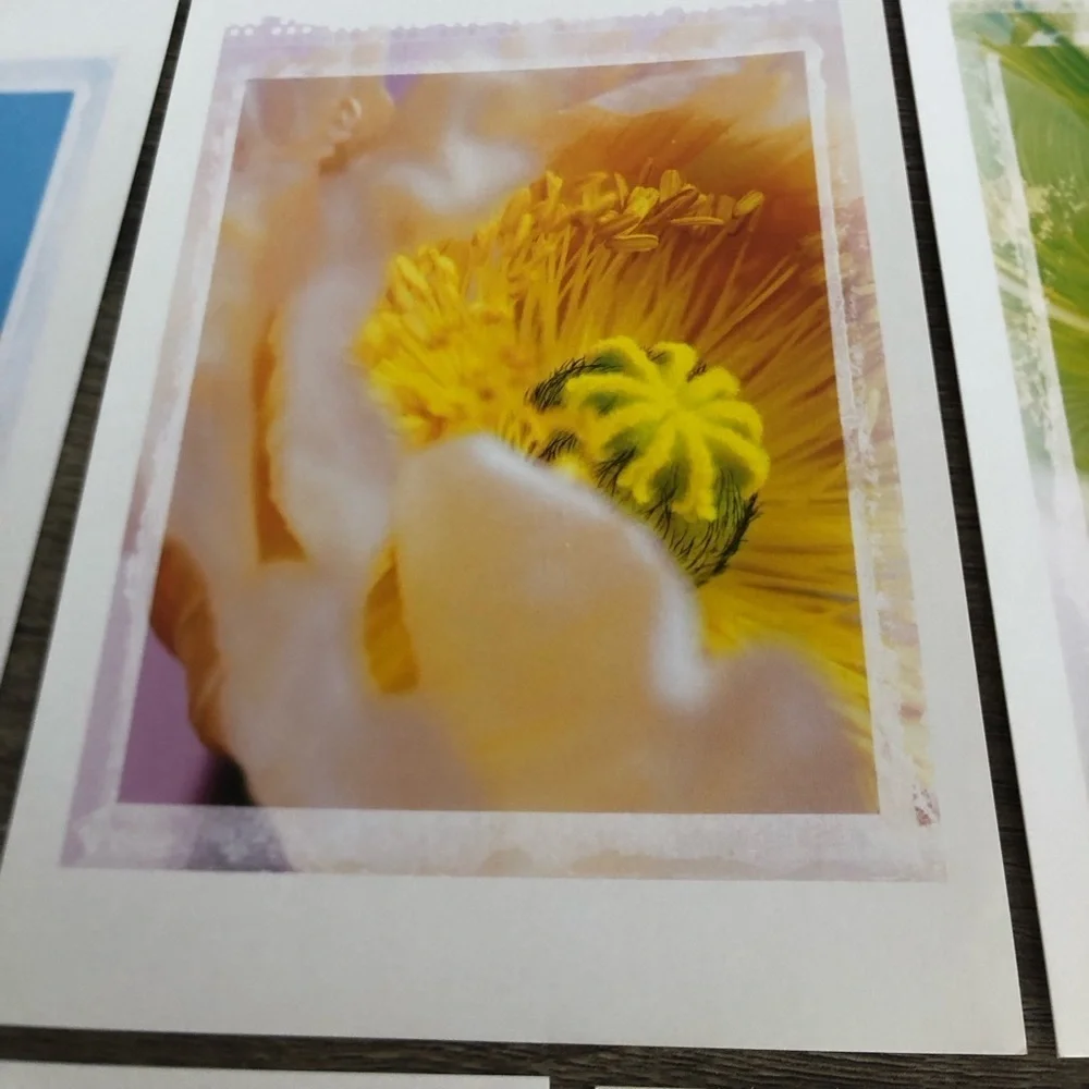 Vtg IKEA Floral Art Cards - Picture 6 of 11